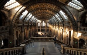 Museums to visit in London