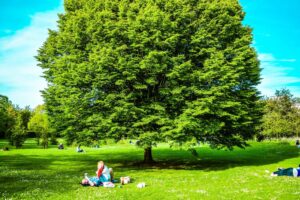 Top 3 parks in London